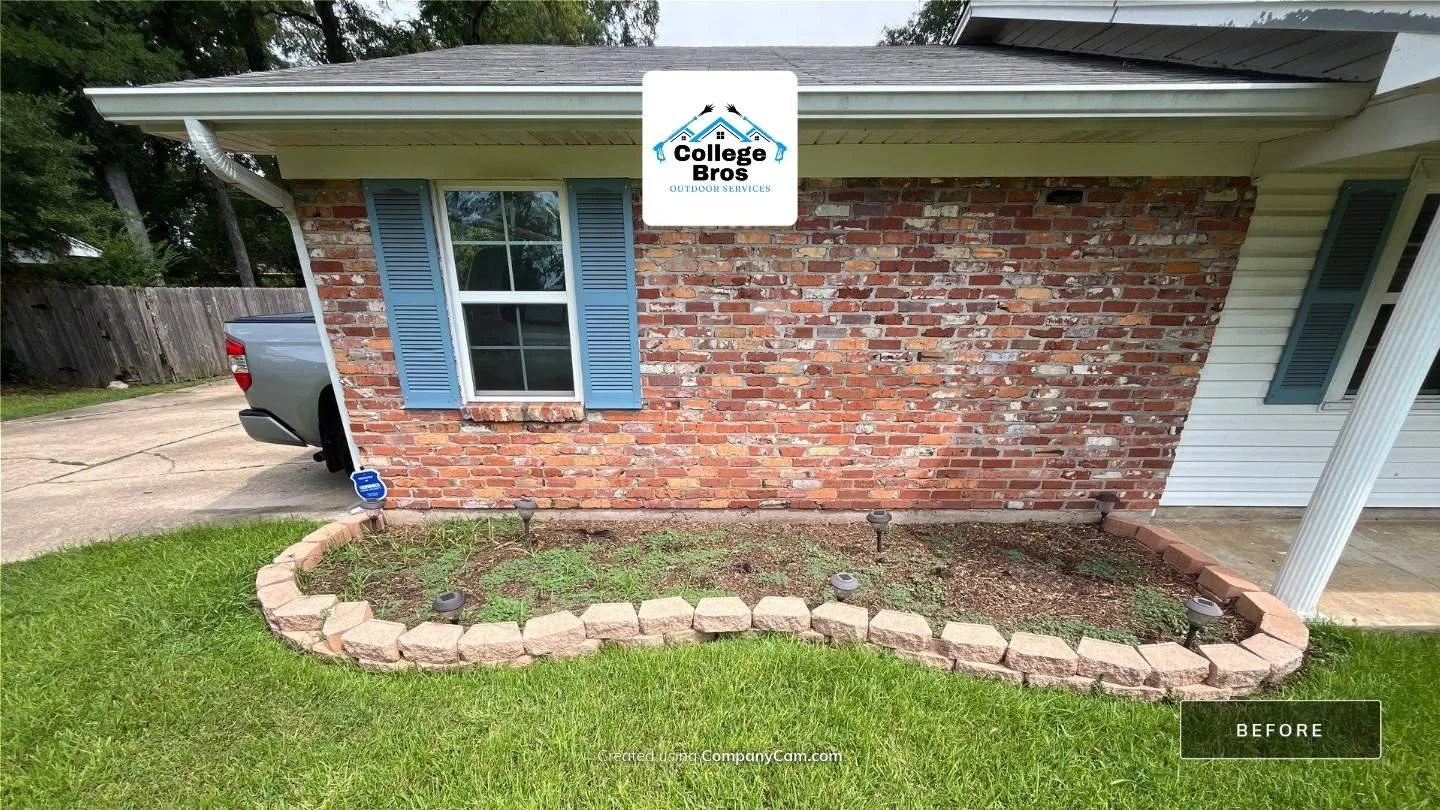 Before: Real job photos: a Northeast Louisiana yard before and after a College Bros cut.