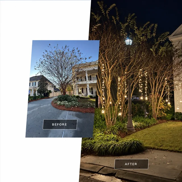 Before and after: unlit trees in daylight and Christmas tree lighting at night
