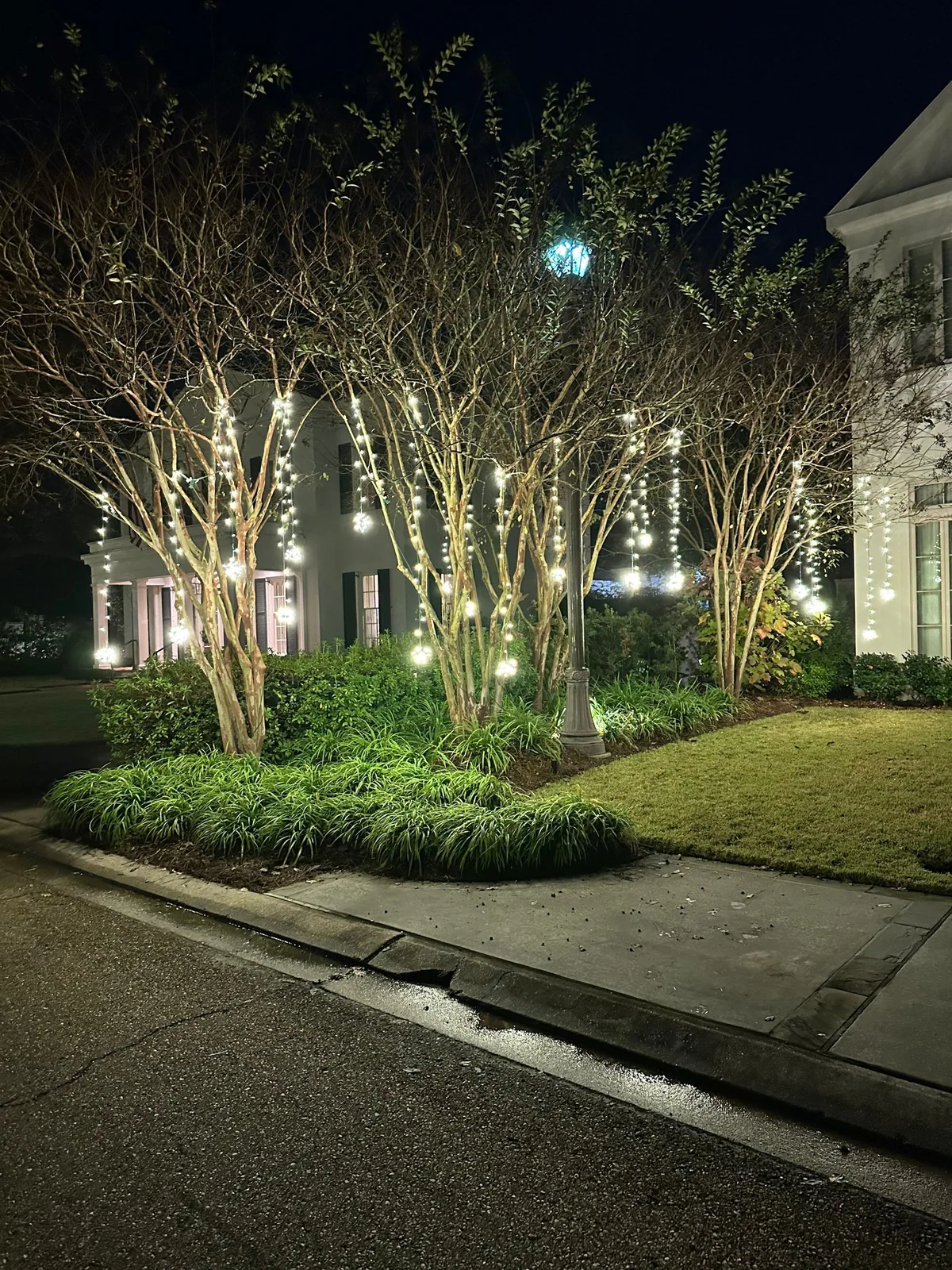 A closer view of Christmas light strands and glowing ornaments hanging among tree branches beside a home