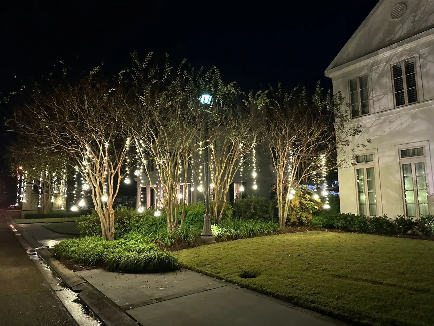 A row of trees decorated with white Christmas lights beside a home and sidewalk at night