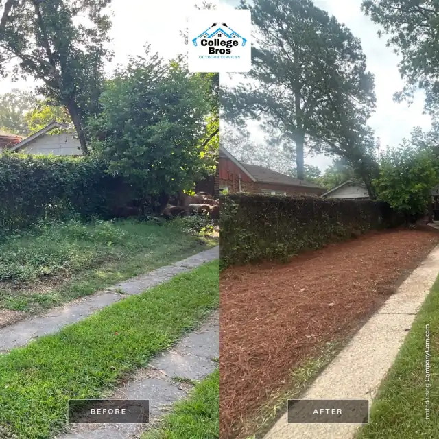 Before and after of a cleared landscape with a clean walkway leading line