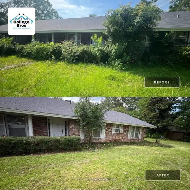 Before and after of dense overgrowth cleared to reveal a brick ranch home and clean lawn