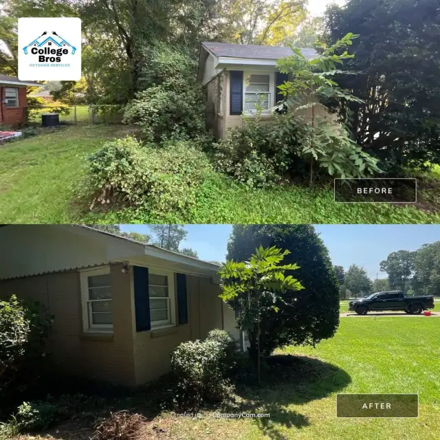 Before and after of overgrown brush cleared to a lush sunlit green lawn