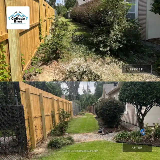 Before and after of an overgrown fence line cleared into a clean green corridor with a gravel border