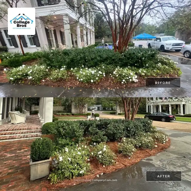 Upscale courtyard bed with white blooms