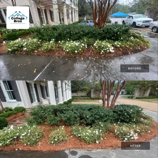 White blooms and fresh mulch at a stately home