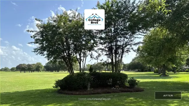 Freshly mulched crepe myrtle island in an expansive lawn in warm light
