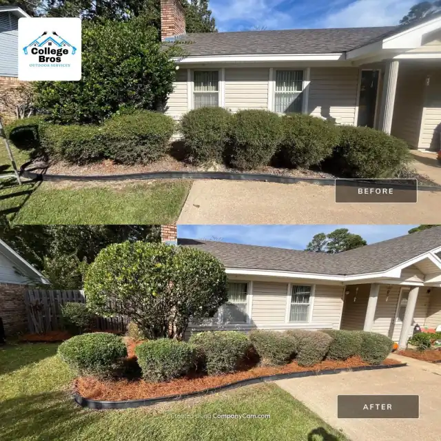 Before and after of a hedge row sculpted and mulch refreshed in warm sun