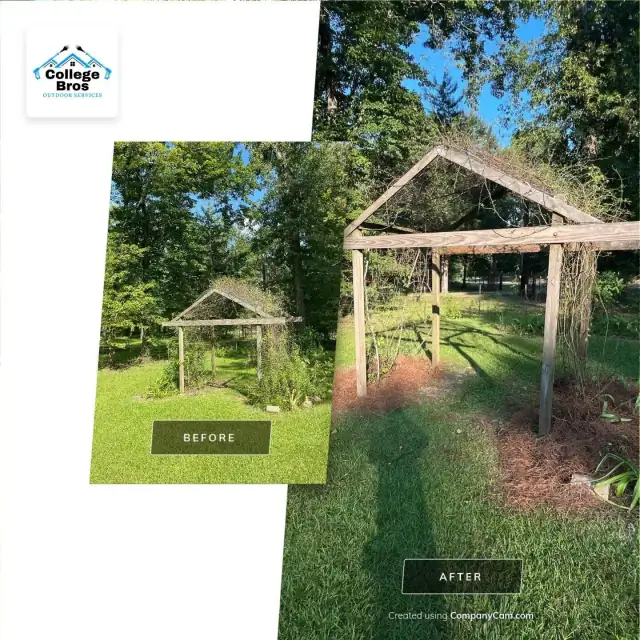 Sunlit garden arbor with a fresh mulch ring