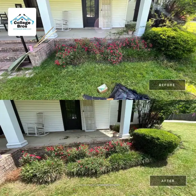 Red azaleas blooming against a white farmhouse porch