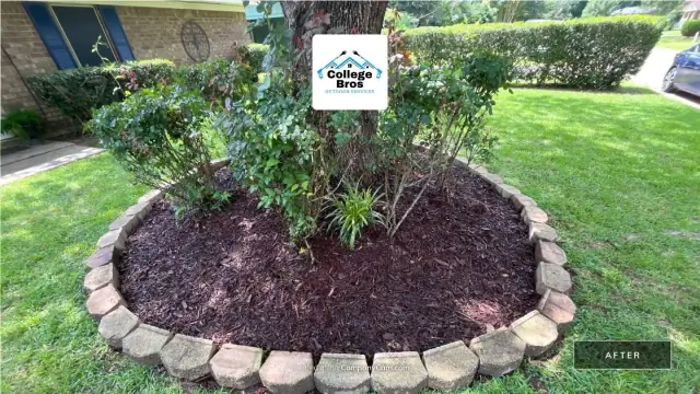 Stone-ring landscape bed with rich mulch and healthy shrubs centered in a lush sunlit lawn