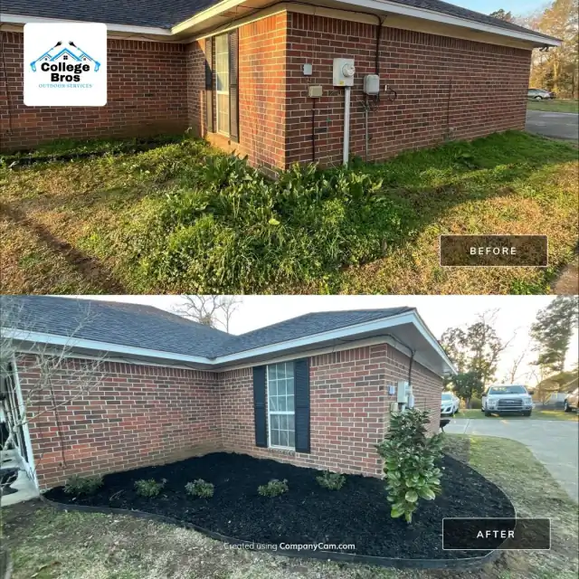 Before and after of a crisp black mulch bed with new shrubs and a magnolia at a brick home