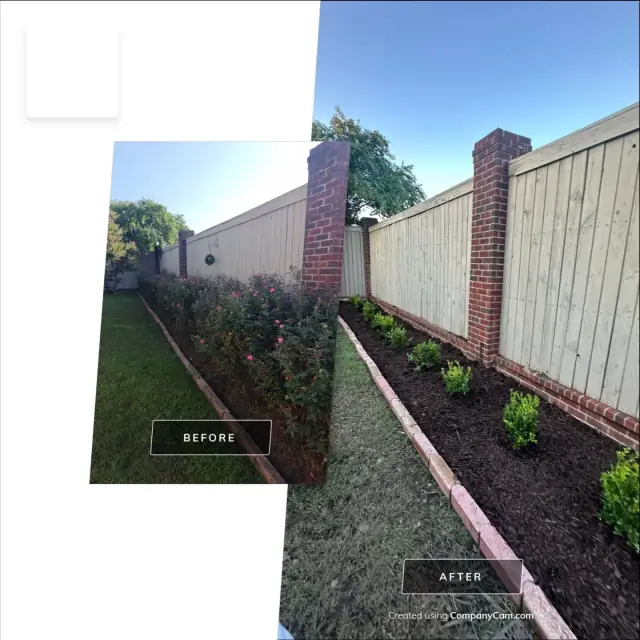 Fence-line landscape bed with fresh dark mulch and a brick pillar in golden-hour light