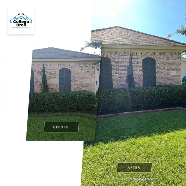 Sunny curb-appeal view of dark trimmed hedges and a bright lawn at a brick home under a blue sky