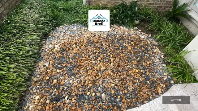 Golden river rock contrasting with trimmed liriope