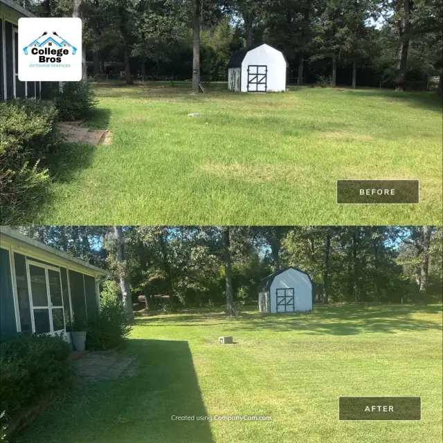 Big sunny backyard lawn with a garden shed