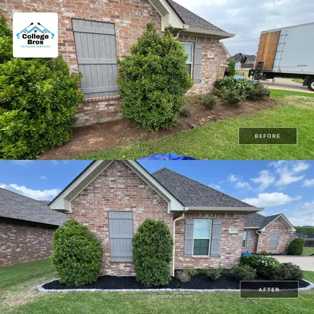 Sunny brick home with sculpted shrubs over fresh black mulch and a vivid green lawn