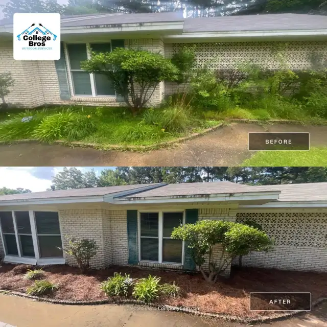 Before and after of window-high overgrowth cleared to sculpted shrubs and fresh mulch at a breeze-block facade