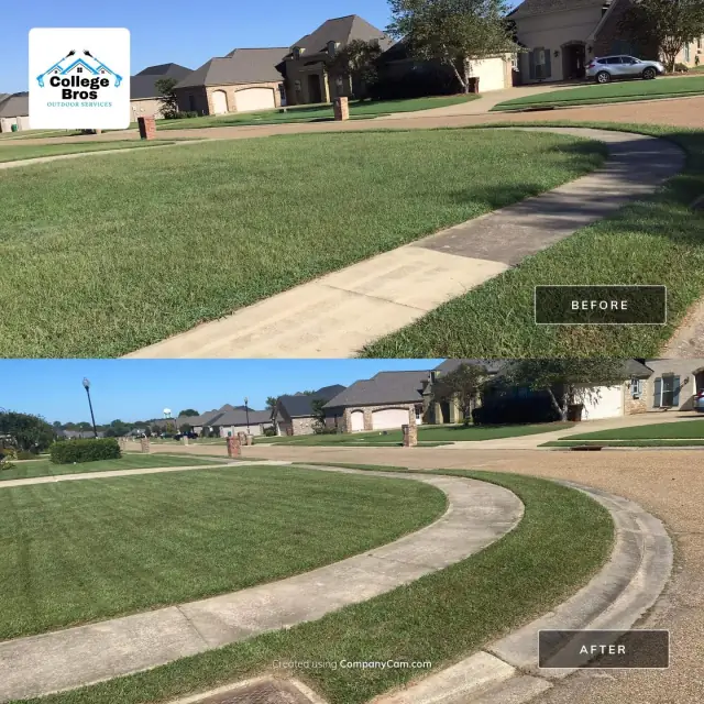 Visible mow stripes following a curved street in an upscale neighborhood