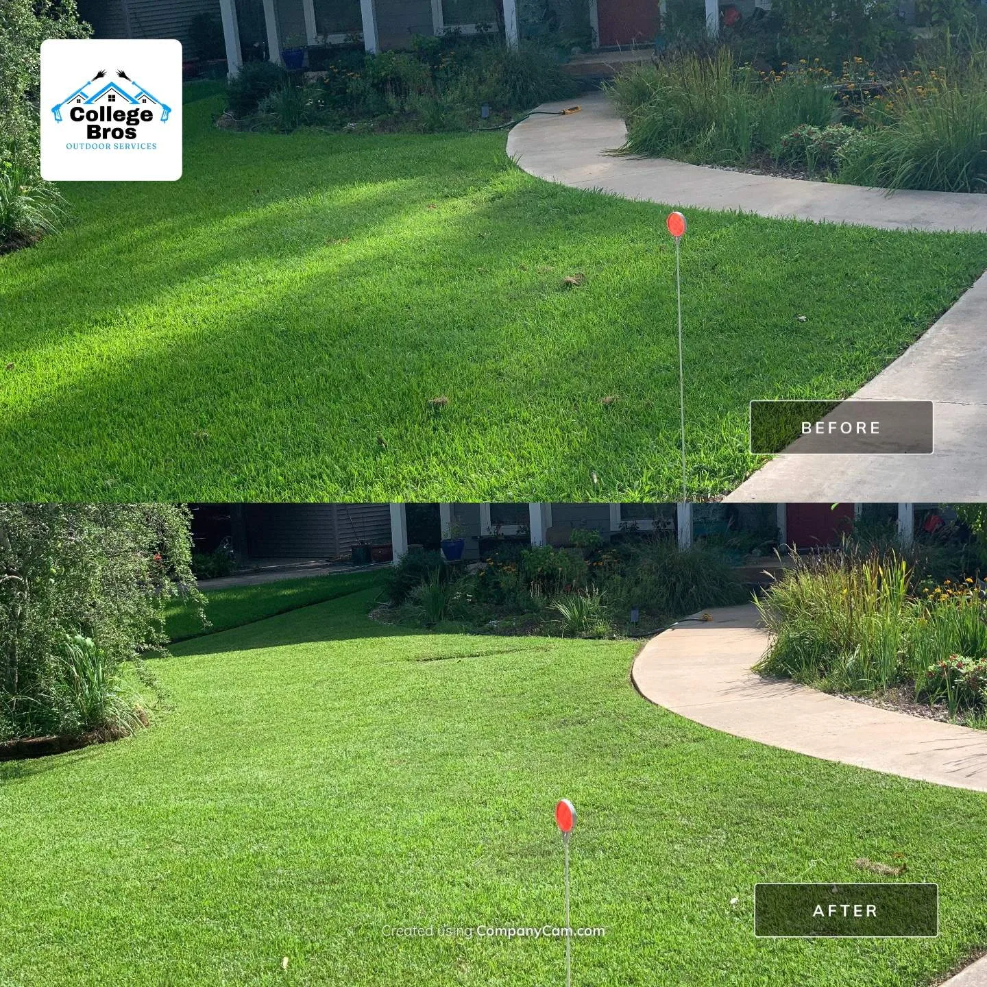 Before and after of a freshly mowed lawn along a curved walkway with ornamental grass beds