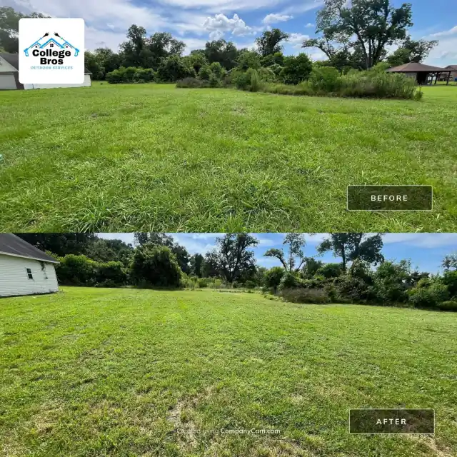 Weed-choked field mowed to an even green lawn under a blue sky