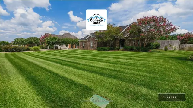 Crisp diagonal mowing stripes on a saturated green lawn framed by a brick estate and crepe myrtle under a blue sky