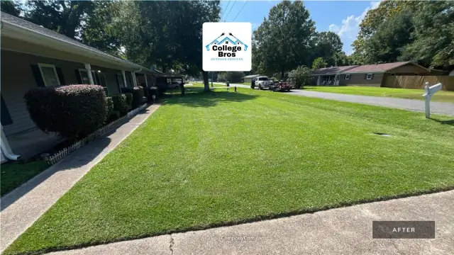 Crisp driveway edge along a saturated green front lawn