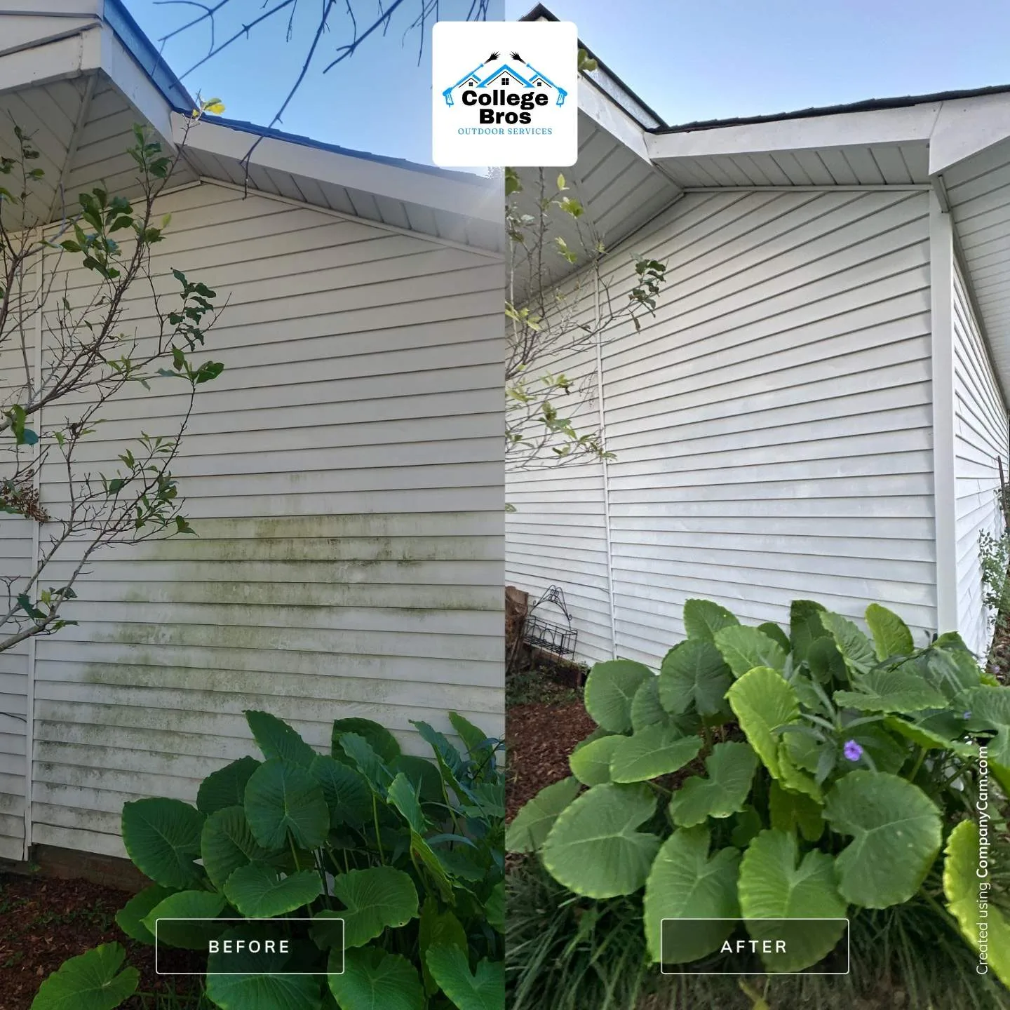 Before and after of white siding washed clean of heavy green and black mildew