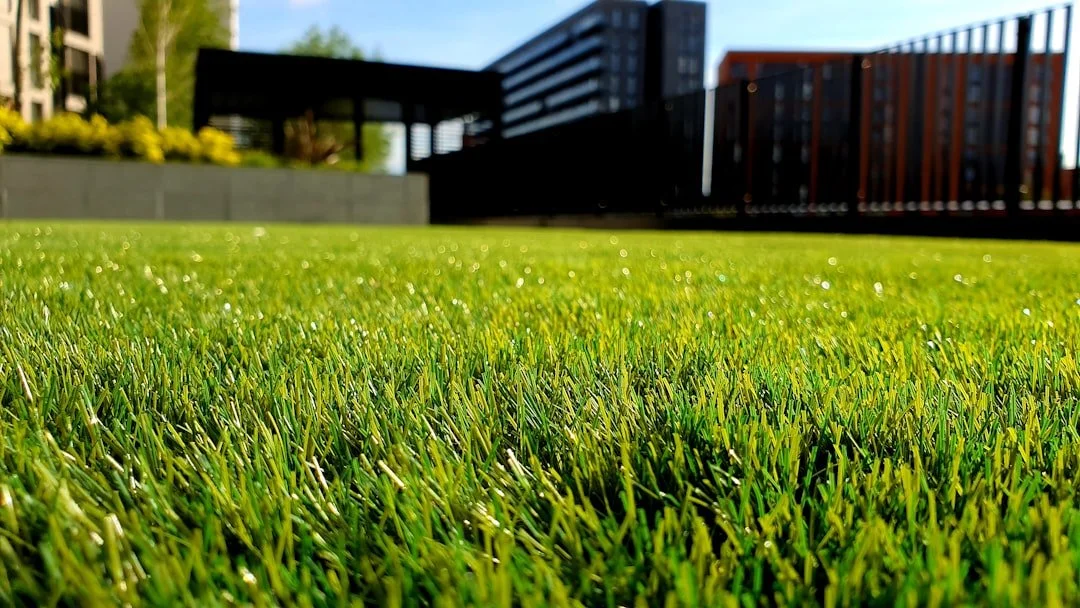 Ground-level view of dense green grass cut to a crisp, even height